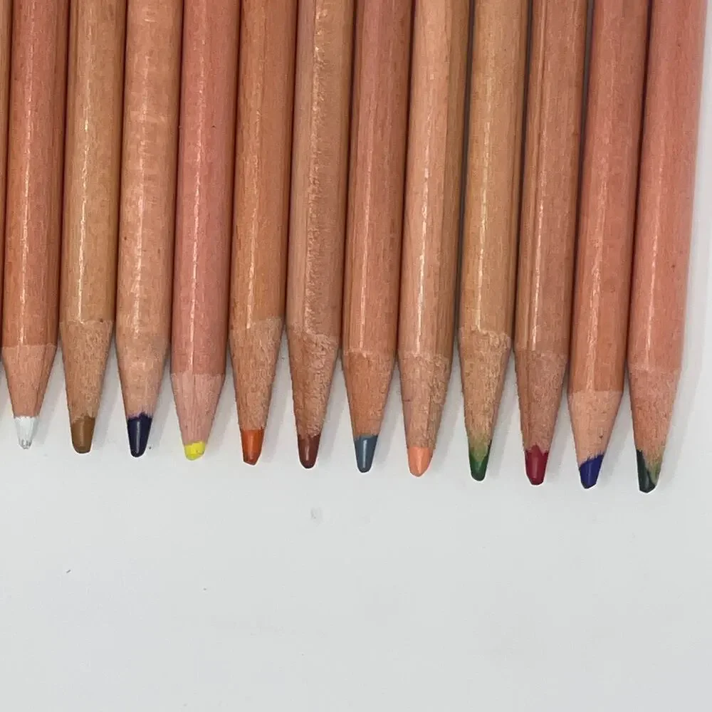 Lot 161 Colored Pencils Art 101 Crayola Artist Loft Scholastic Bulk Drawing Set